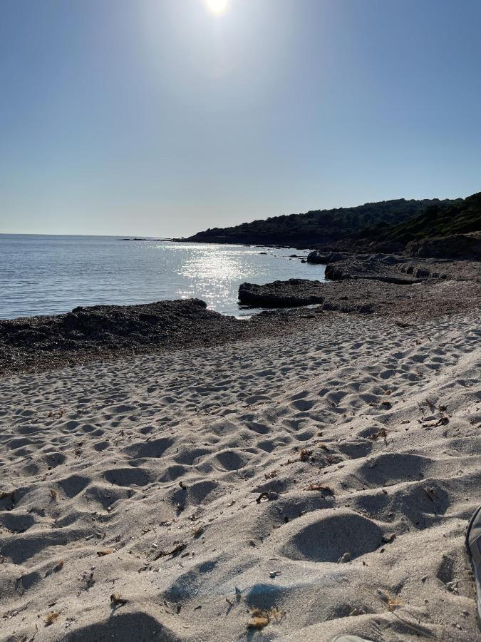 Superbe Neuf De Standing * Ajaccio (Corsica)